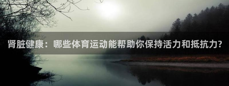 xc体育：肾脏健康：哪些体育运动能帮助你保持活力和抵抗力?