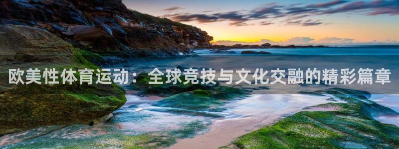 xc体育