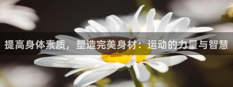 xc体育app官方网站