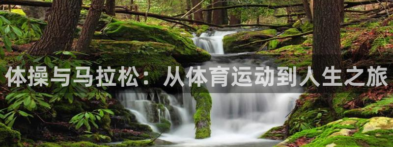 xc体育