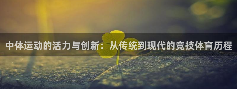 xc体育app官方网站