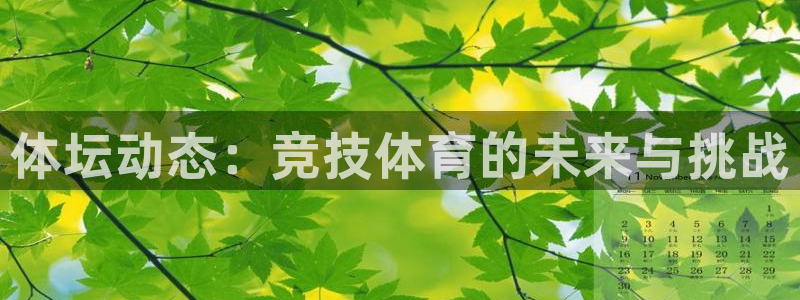 xc体育app官方网站：体坛动态：竞技体育的未来与挑战