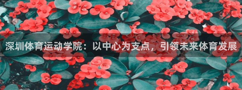 xc体育：深圳体育运动学院：以中心为支点，引领未来体育发展
